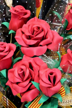 2 Roses 3D